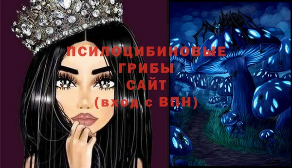 гидра Кинешма