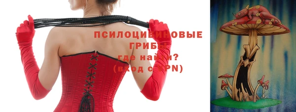 гидра Кинешма