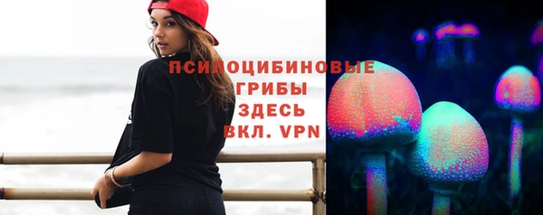 гидра Кинешма