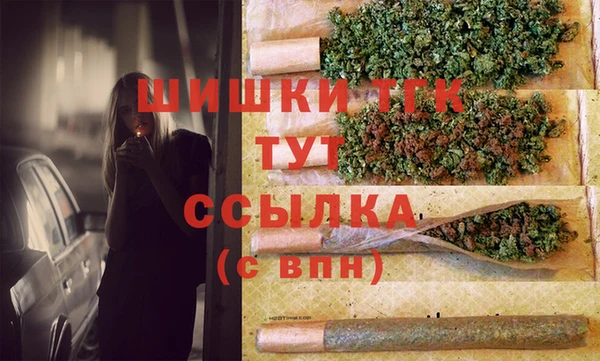 гидра Кинешма