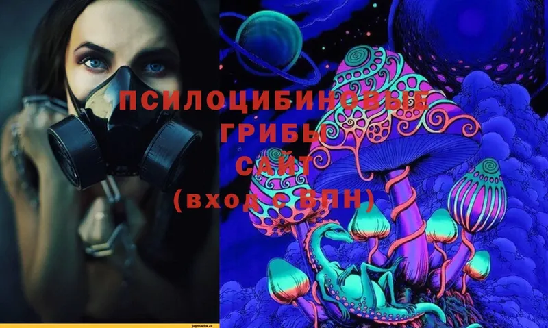 Галлюциногенные грибы Cubensis  MEGA   Железногорск 