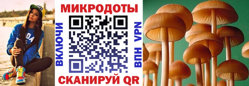 наркотики Железногорск площадка состав Псилоцибиновые грибы Psilocybe