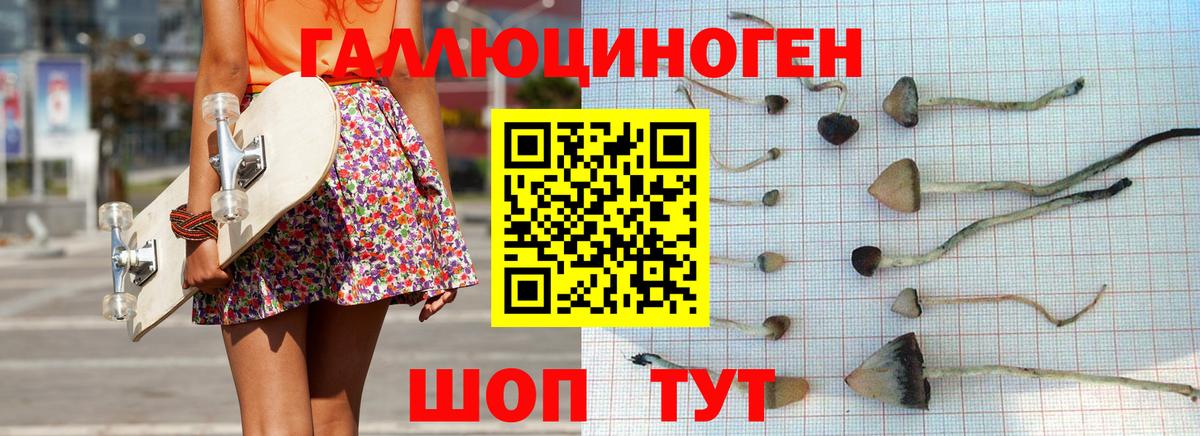 Псилоцибиновые грибы ЛСД Железногорск