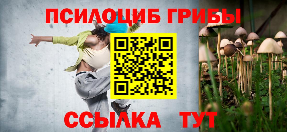 Галлюциногенные грибы мицелий Железногорск